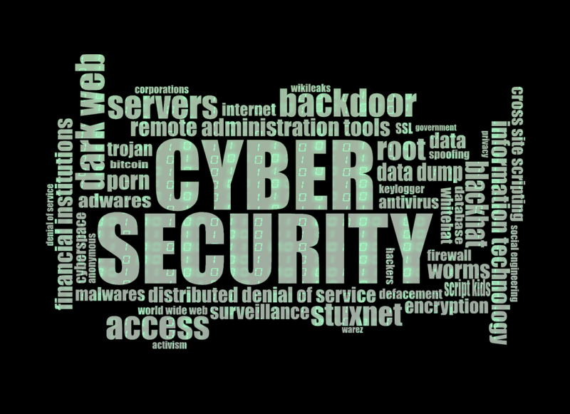 cibersecurity