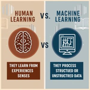 Lee más sobre el artículo Aprendizaje humano vs Aprendizaje Automático